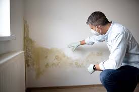 Mold Remediation for Rental Properties in Golden Hills, CA